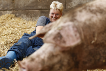 Boerin Annechien ligt naast een varken in een 2 ster Beter Leven stal