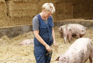 Boeren Annechien in haar twee sterren Beter Leven varkensstal