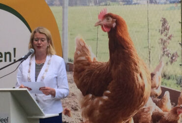 Burgemeester Paulien Krikke in de Rondeel stal