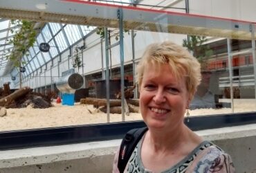 Marijke de Jong in een Kipsterstal